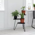 Plant Stand: Triangular Multi-Tiered Plant Stand